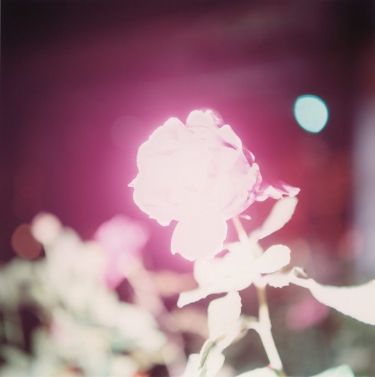 Rinko Kawauchi, „Illuminance”, 2009 (źródło: materiały prasowe organizatora)