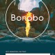 Bonobo, „Migration Tour” (źródło: materiały prasowe)