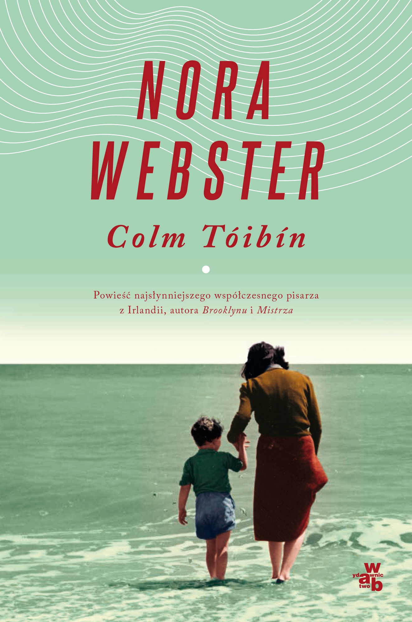 Colm Tóibín, „Nora Webster” – okładka (źródło: materiały prasowe wydawcy)