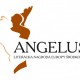 Literacka Nagroda Europy Środkowej Angelus (źódło: materiały prasowe organizatora)