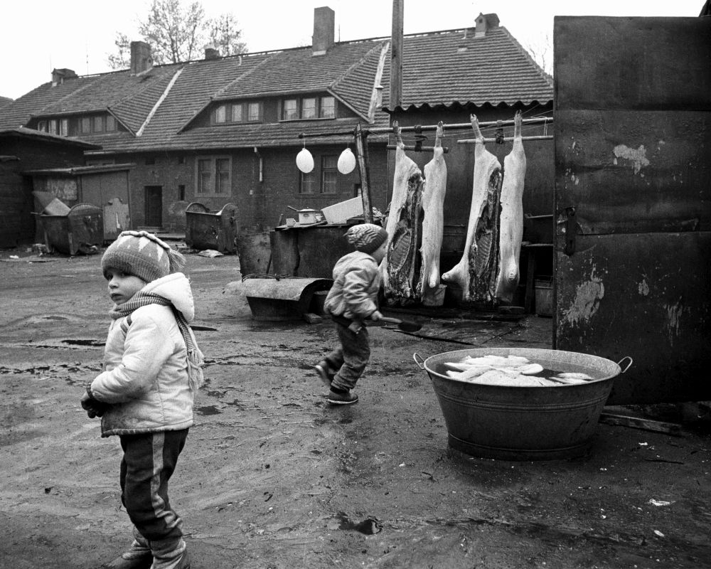 Krzysztof Miller, Świniobicie na podwórku przykopalnianego familoka, 1990 (źródło: materiały prasowe organizatora)