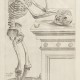 Tablica anatomiczna, Miedzioryt z „Anatomii” Andreasa Vesaliusa, wydanej w Amsterdamie w 1617 r., będącej skrótem jego wielkiego dzieła De Humani Corporis Fabrica, przypisywany uczniowi Tycjana Janowi van Calcar fot. Muzeum Narodowe w Krakowie (źródło: materiały prasowe organizatora)