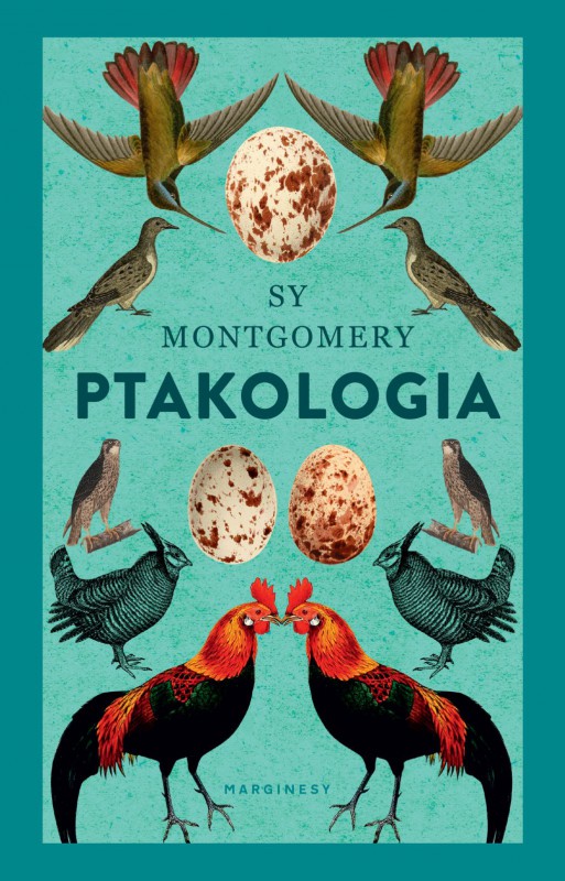 Sy Montgomery, „Ptakologia” (źródło: materiały prasowe wydawnictwa)