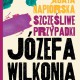 „Szczęśliwe przypadki Józefa Wilkonia" Agata Napiórkowska (źródło: materiały prasowe organizatora)