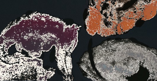 © georgia Krawiec, z serii: „TRINITY TEST” ♀D.H. (lewe), ♀B.S. (lewe), ♀M.H. (lewe); fragmenty chemogramów na papierze bromosrebrowym, unikaty, 2014 / 2017 (źródło: materiały prasowe organizatora)