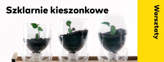 Warsztaty „Siej i Miej. Szklarnia kieszonkowa” z ID Kielce (źródło: materiały prasowe organizatora)
