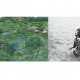 Won Seoung Won, „Sieć informatyczna z trawy wodnej” , 2017, c-print; Anna Panek, "Dzikie Życie", 2017, kolaż filmowy dzięki uprzejmości artystek (źródło: materiały prasowe organizatora)