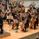 Syrian Expat Philharmonic Orchestra (źródło: materiały prasowe)