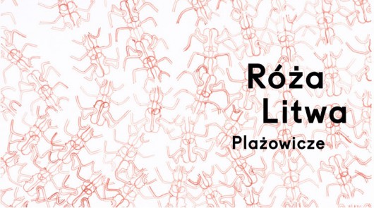 Róża Litwa, „Plażowicze” (źródło: materiały prasowe organizatora)