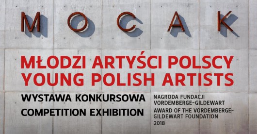 „Młodzi Artyści Polscy” (źródło: materiały prasowe organizatora)