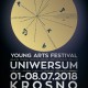 „Young Arts Festival” , Krosno (źródło: materiały prasowe organizatora)