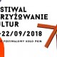 14. Festiwal Skrzyżowania Kultur (źródło: materiały prasowe organizatora)