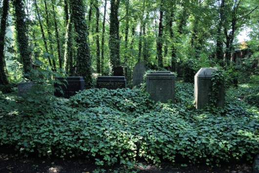 Cmentarz żydowskie, wikimedia commons (źródło: materiały prasowe organizatora)
