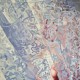 Aleksandra Kalisz „Lost”, 100x120cm, olej na płótnie, 2017 (źródło: materiały prasowe organizatora)