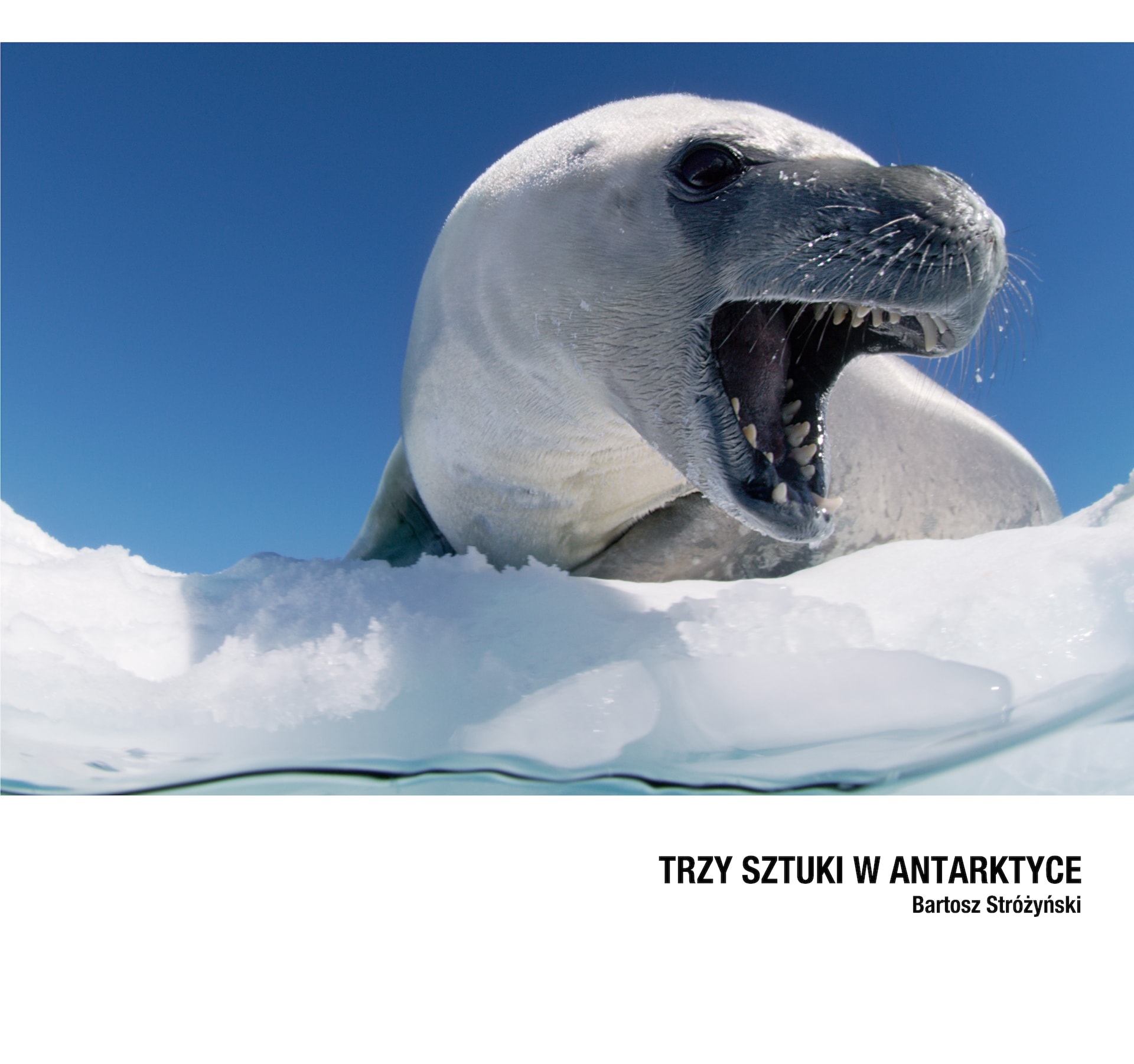 Bartosz Stróżyński „Trzy sztuki w Antarktyce” (źródło: materiały prasowe organizatora)