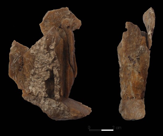 Składanka artefaktów z epoki kamienia (źródło: materiały prasowe organizatora)