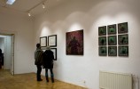 Andrzej Lachowicz, wystawa Vegetation, galeria Foto-Medium-Art, luty 2009