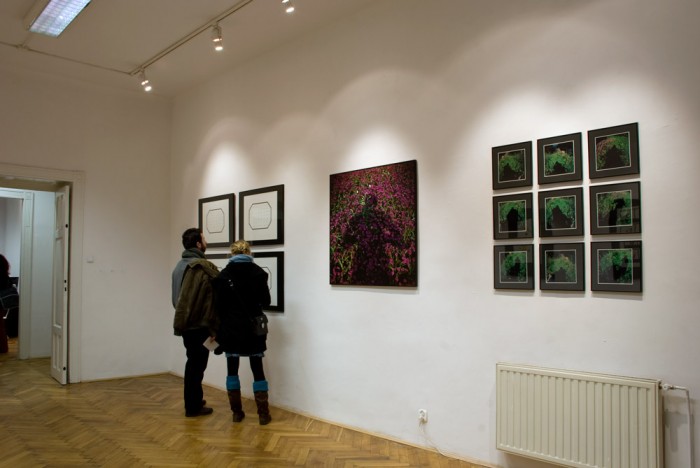 Andrzej Lachowicz, wystawa Vegetation, galeria Foto-Medium-Art, luty 2009