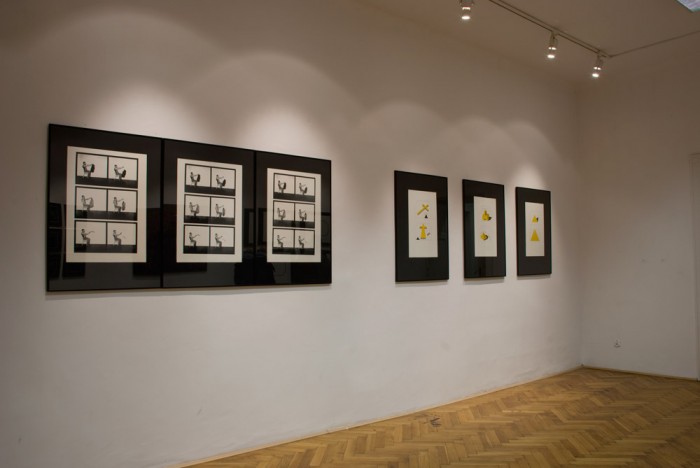 Andrzej Lachowicz, wystawa Vegetation, galeria Foto-Medium-Art, luty 2009