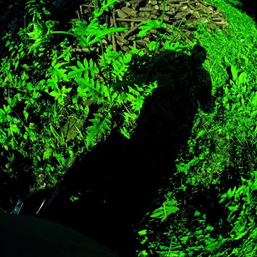 Andrzej Lachowicz, Wyjątkowy punkt widzenia, 2005