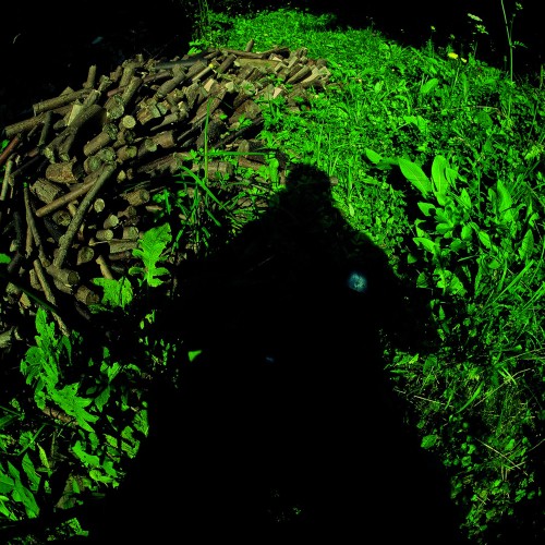 Andrzej Lachowicz, Wyjątkowy punkt widzenia, 2005