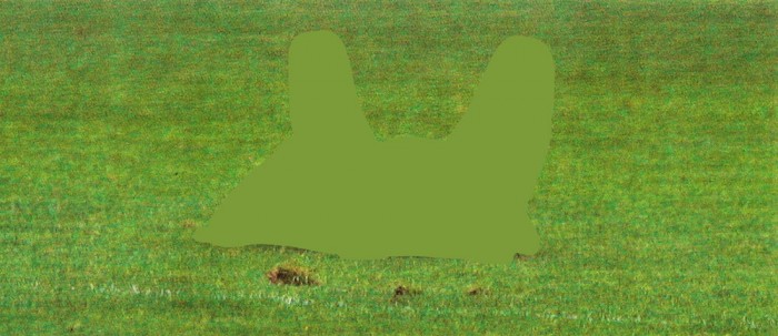 Michał Jakubowicz, Znikająca forma, 2007