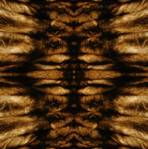 Natalia LL, Poczwórna puszystość, 1978/2007