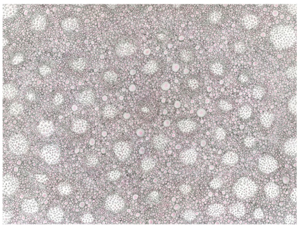 Xawery Wolski, Rysunek VI, Komórka różowa-szara, 2008, tusz na papierze, 22,9x30,5 cm