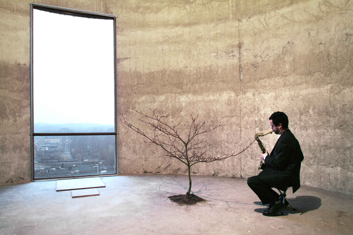 Massimo Bartolini, Ballad (Concert for a Tree), 2001, performance