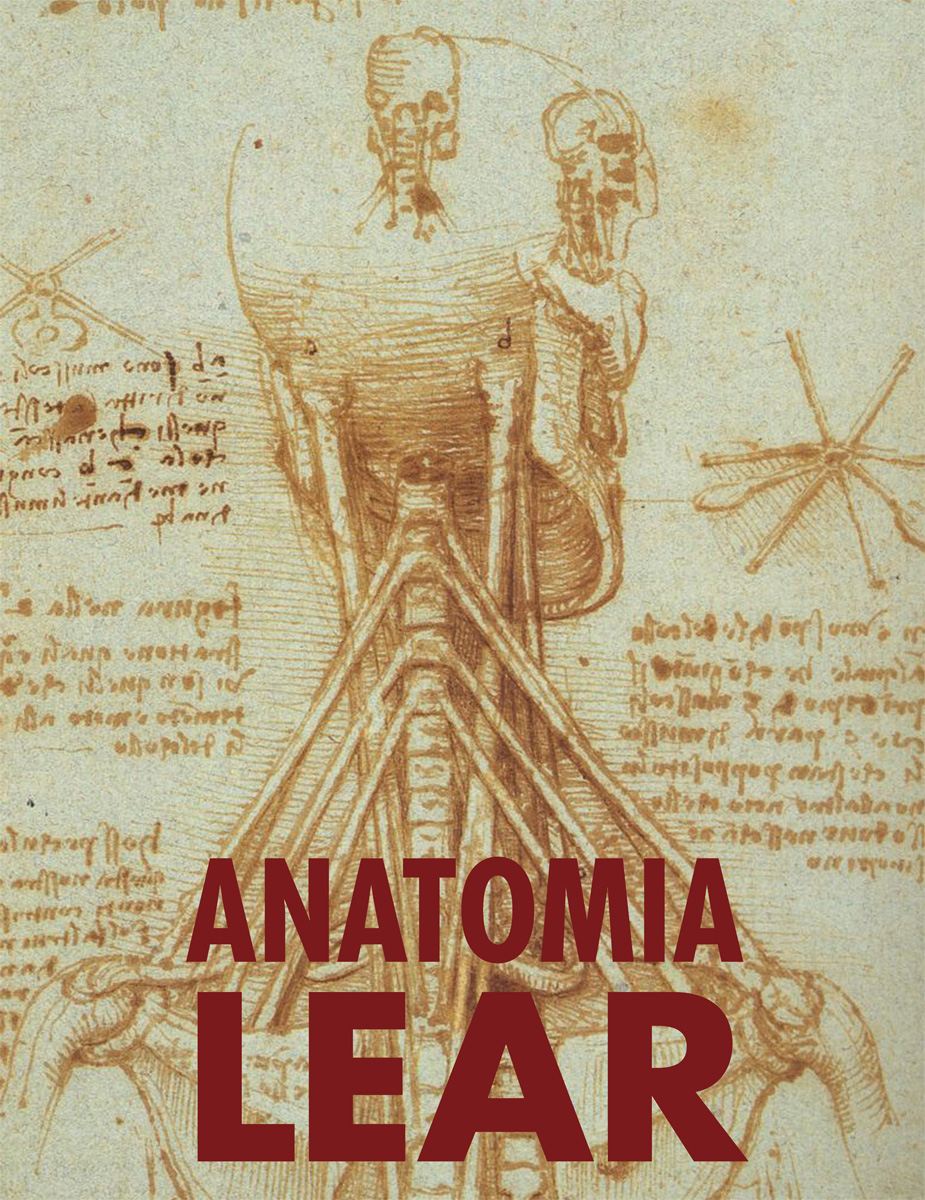 Anatomia Ensemble - Anatomia Lear, reż. Mikaela Hasán, fot. Stefan Bremer