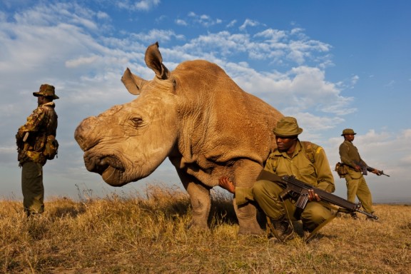 Brent Stirton, South Africa, Reportage by Getty Images for National Geographic magazine (źródło: materiały prasowe organizatora)