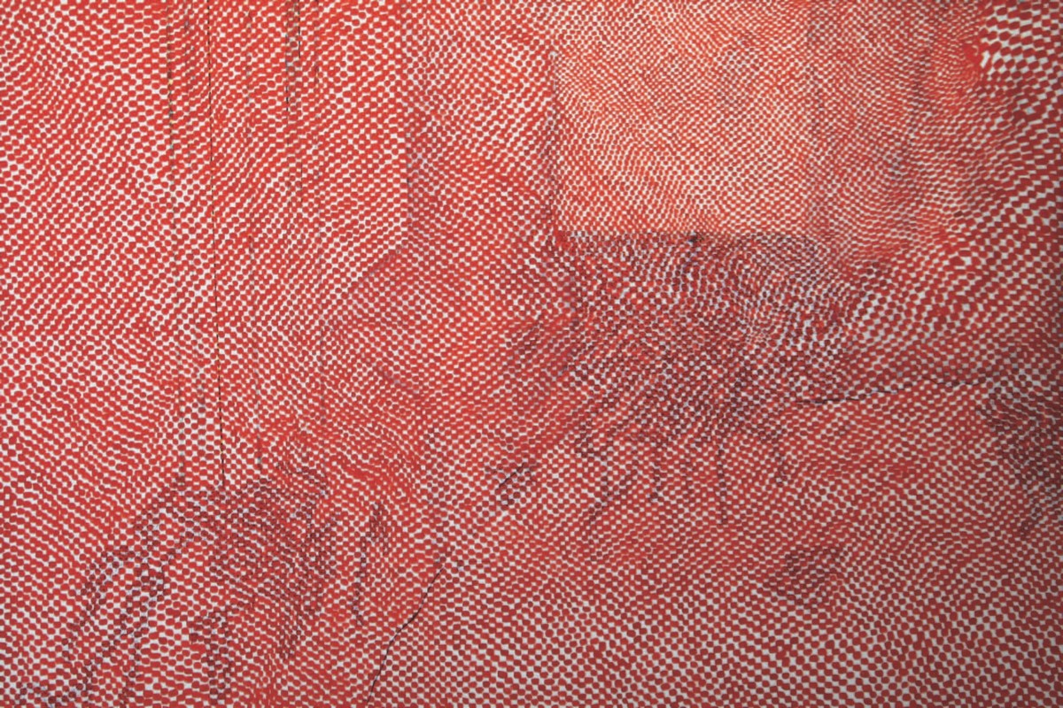 Martyna Ścibior, „Ponad Poland”, 100 x 150 cm, długopis i akryl na płótnie, 2013 (źródło: materiały prasowe organizatora)