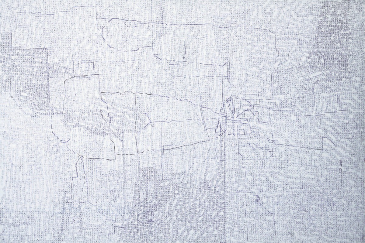 Martyna Ścibior, „Macam”, 100 x 150 cm, długopis na płótnie, 2011 (źródło: materiały prasowe organizatora)