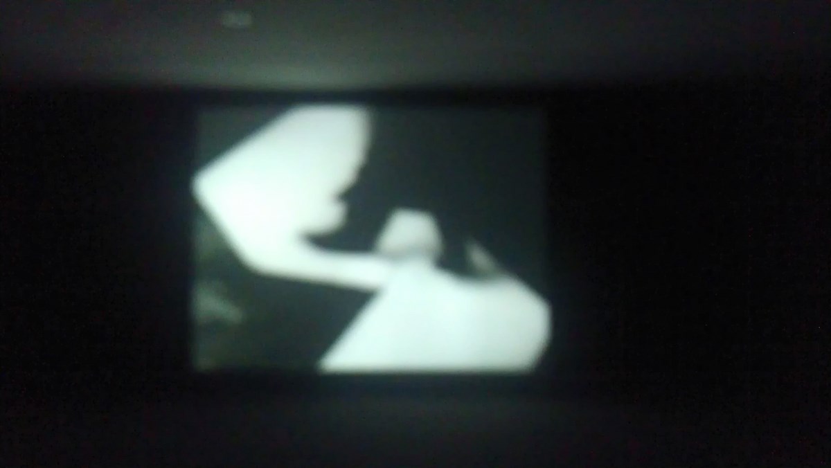 Praca video na wystawie „Franciszka and Stefan Themerson: The Urge to Create Visions”, The Tel Aviv Museum of Art (źródło: materiały prasowe)