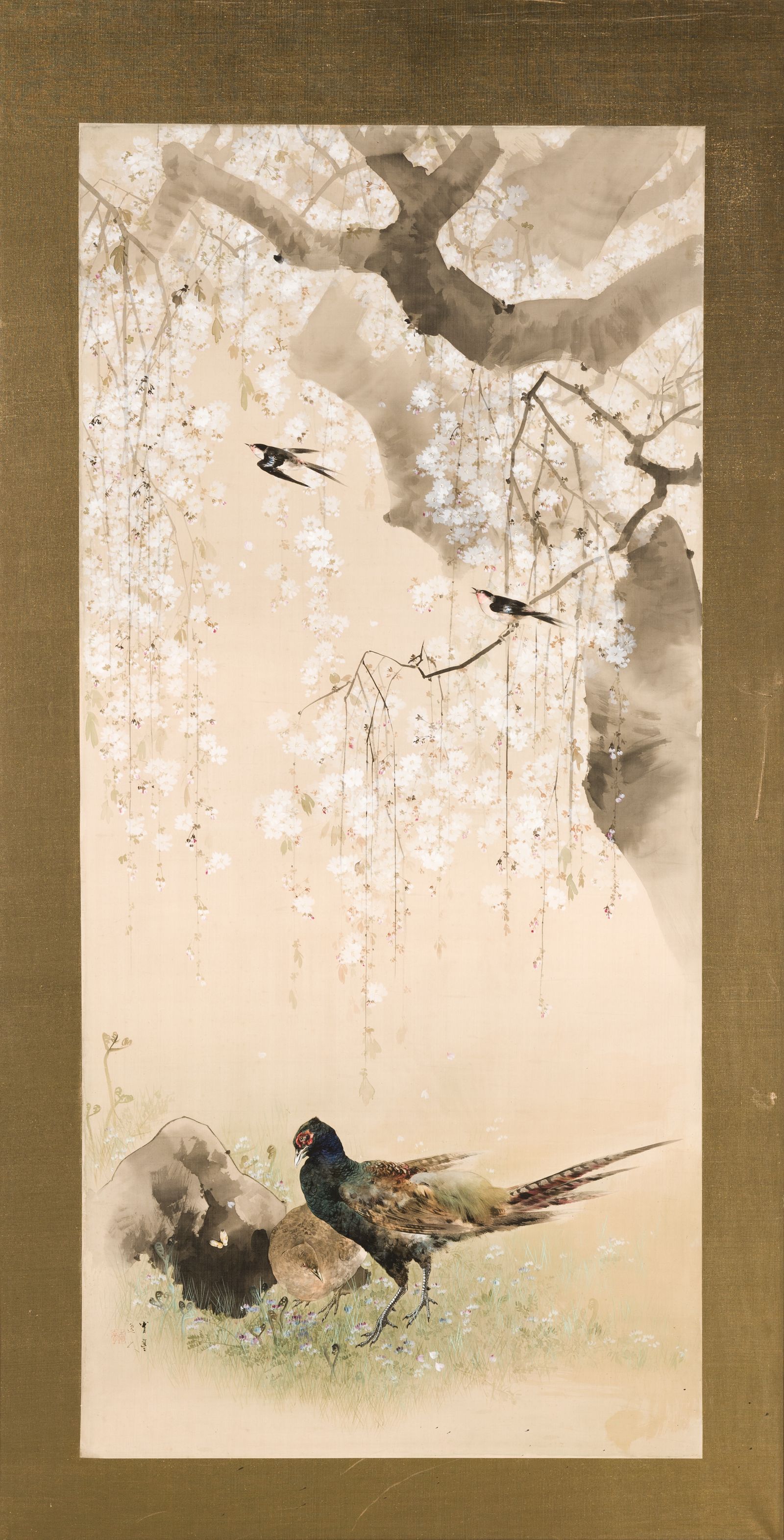 Watanabe Seitei (1851–1918), Bażanty pod kwitnącą wiśnią, 1891 farby wodne i tusz na jedwabiu Muzeum Narodowe w Krakowie, z kolekcji Feliksa Jasieńskiego (źródło: materiały prasowe)