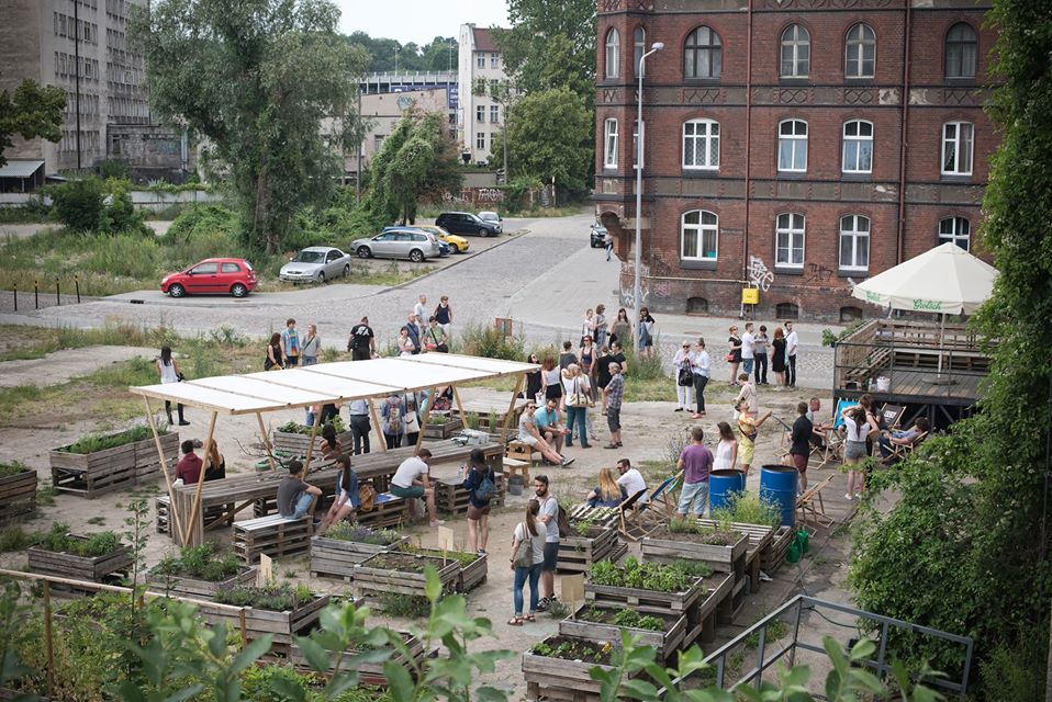 Projekt „Otwarty Ogród”, fot. Kameliya Ivanowa (źródło: materiały prasowe organizatora)