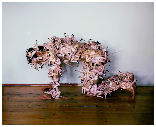 Jan Smaga, „Bez tytułu (Pies)” 2008 (źródło: materiały prasowe organizatora)