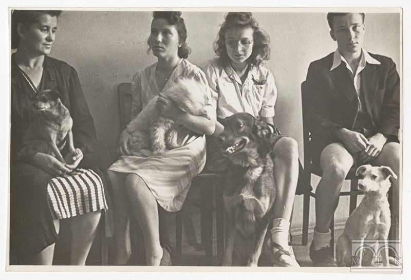 Lecznica Związku Opieki nad Zwierzętami w Krakowie, fot. Henryk Hermanowicz, ok. 1946 (źródło: materiały prasowe)