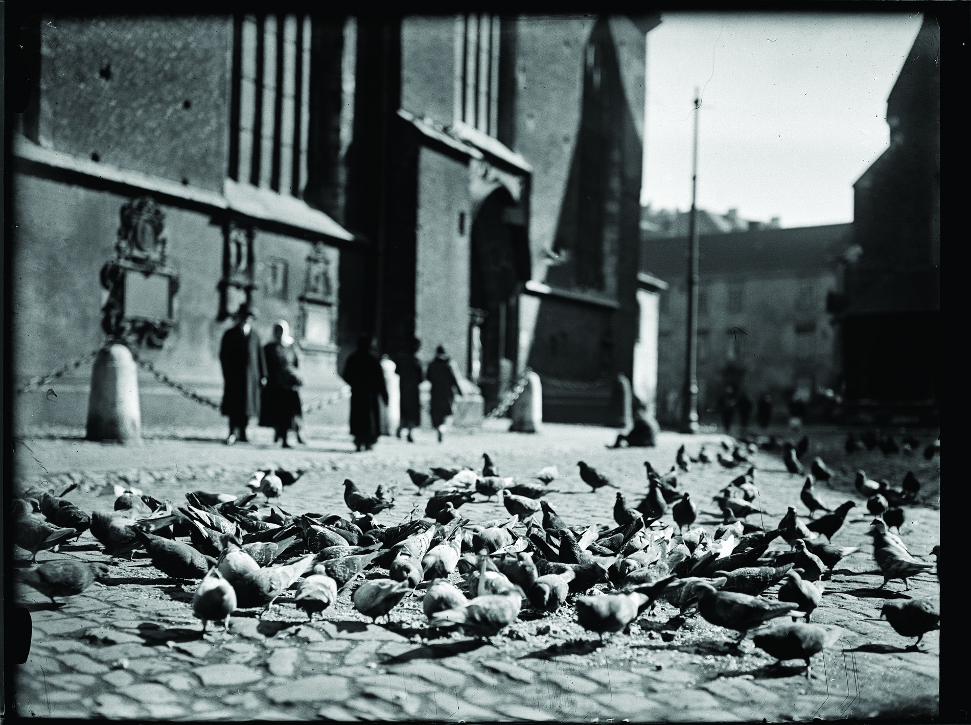 „Gołębie na placu Mariackim”, autor fot. nieznany, lata 20. XX w., wł. MHK (źródło: materiały prasowe organizatora)