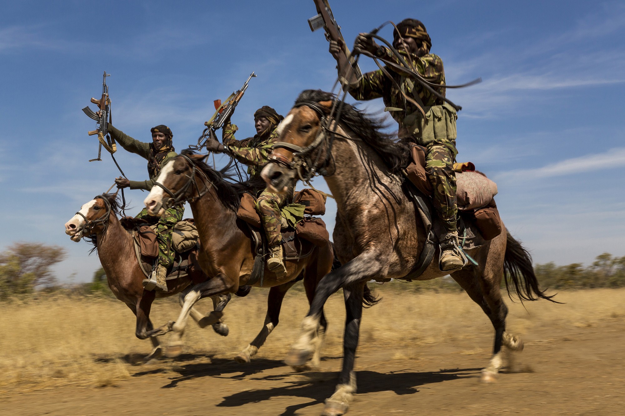 Brent Stirton, South Africa, Getty Images for National Geographic, „Ivory Wars” (źródło: materiały prasowe)