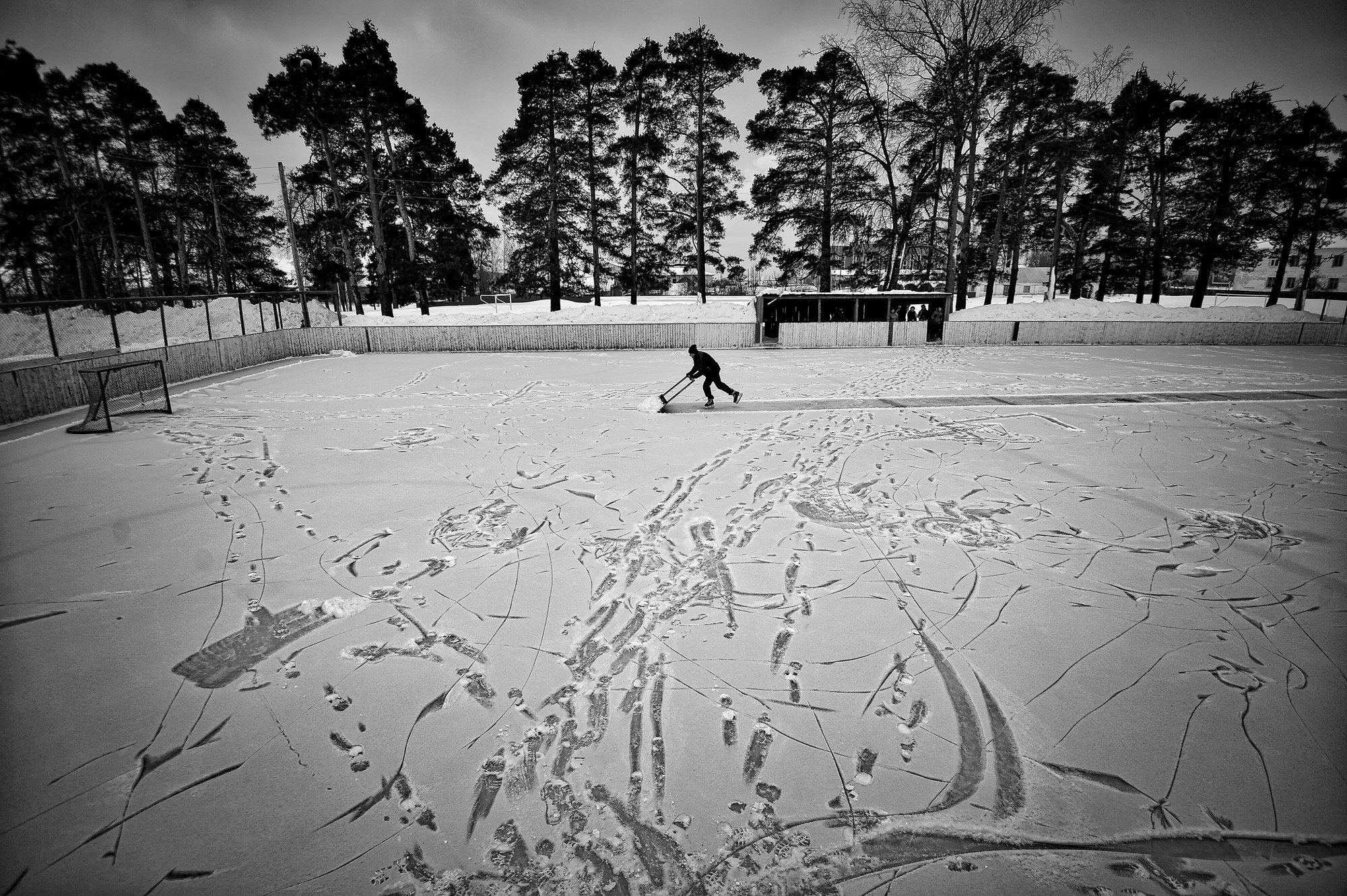 Vladimir Pesnya, Russia, Sputnik | „Vetluga's Hockey” (źródło: materiały prasowe)