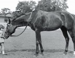 Krysia Kulesza i klacz Zagadka II, CWK w Grudziądzu, 1933 r.; fotografia żelatynowo-srebrowa pozytyw Muzeum Łowiectwa i Jeździectwa w Warszawie (źródło: materiały prasowe)