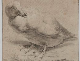 Artysta holenderski, „Kaczka”, ok. 1650 (źródło: materiały prasowe organizatora)