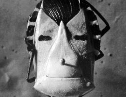 Andrzej J. Wróblewski, „Maska”, ok. 1956, fotografia czarno-biała, archiwum artysty (źródło: materiały prasowe organizatora)